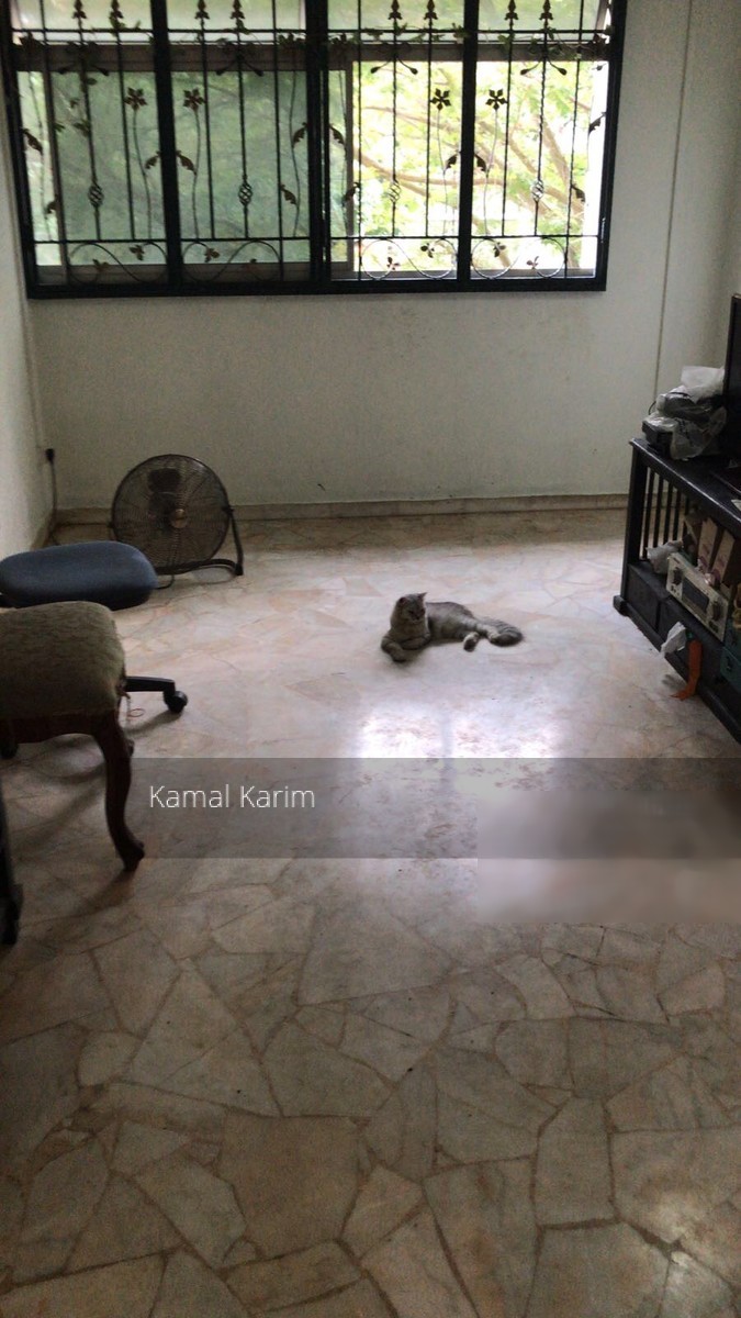 Blk 877 Woodlands Avenue 9 (Woodlands), HDB 5 Rooms #156680902